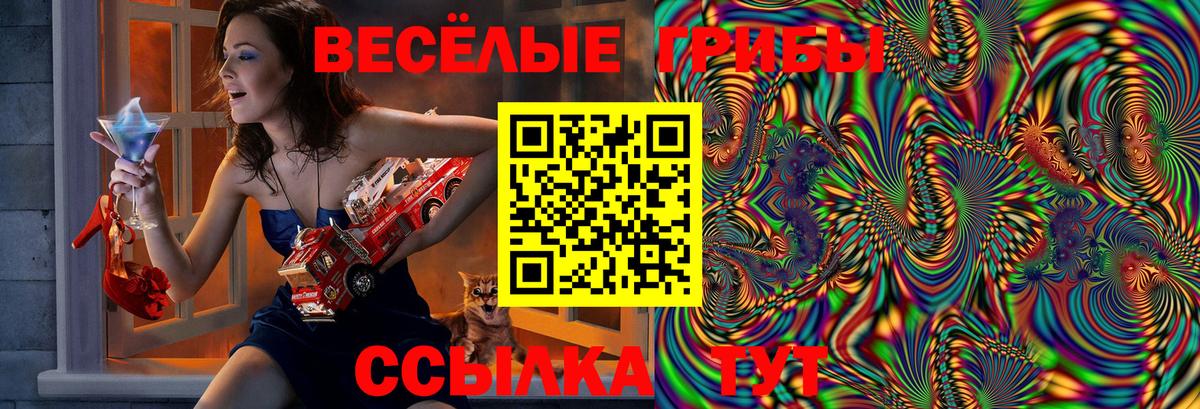 Псилоцибиновые грибы прущие грибы  как найти наркотики  Кимовск 