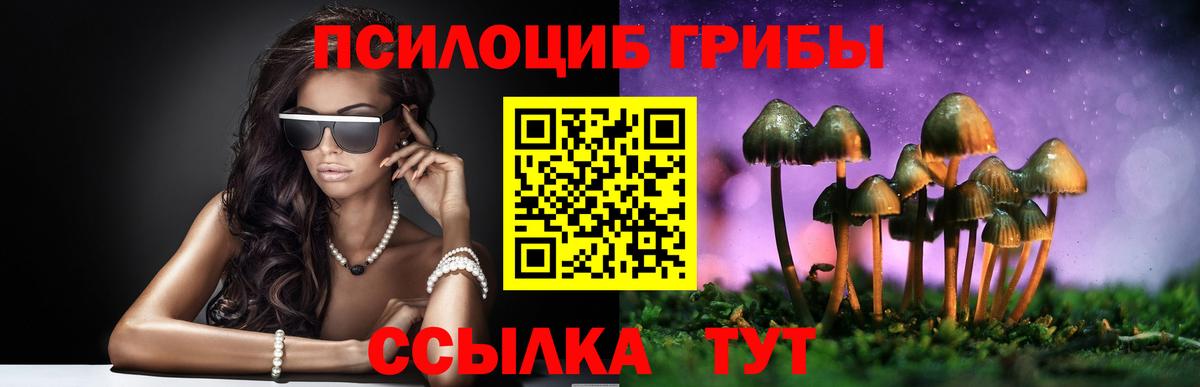 Псилоцибиновые грибы мухоморы Кимовск